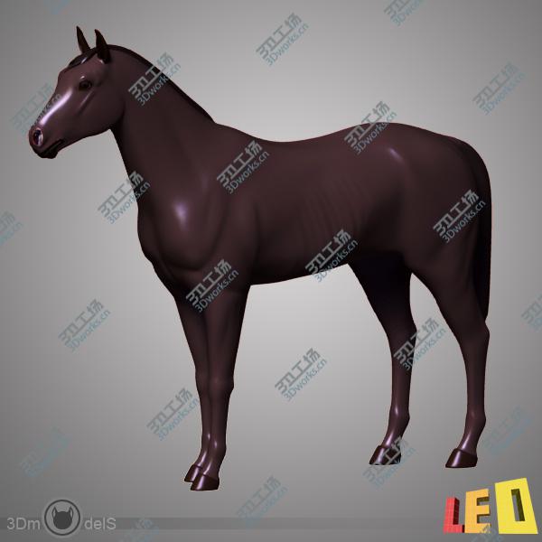 images/goods_img/202105071/Horse Anatomy v.1/5.jpg
